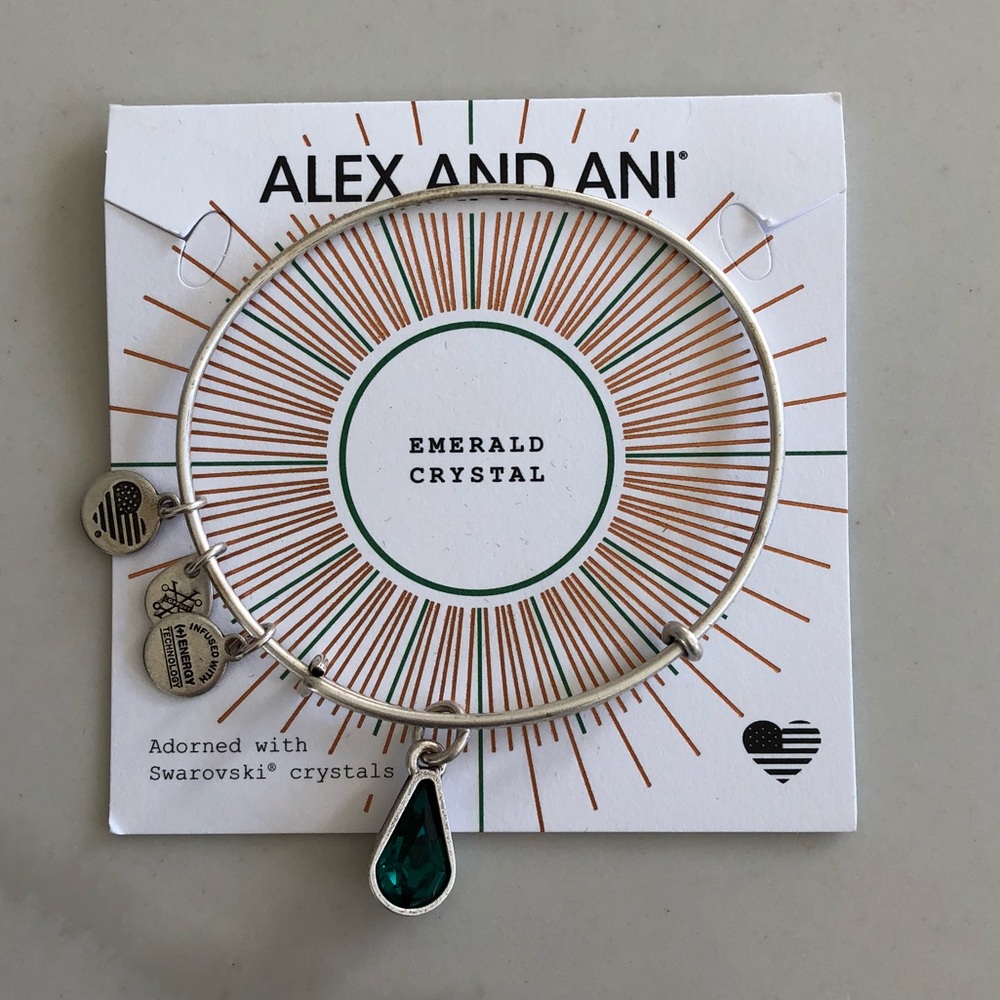 Alex and Ani charm bracelet